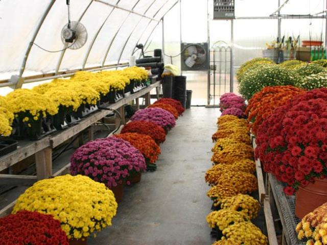Profitable Retail Garden Center Profitable Retail Garden Center