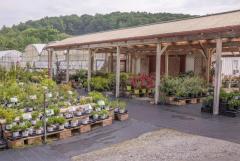 Established Destination Greenhouse Business For Sale