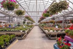 Established Destination Greenhouse Business For Sale