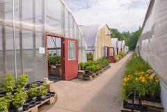Established Destination Greenhouse Business For Sale