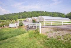Established Destination Greenhouse Business For Sale