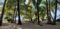 Hotel & Motel Properties