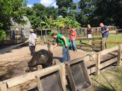 Business opportunity Orlando Attraction Zoo & Museum